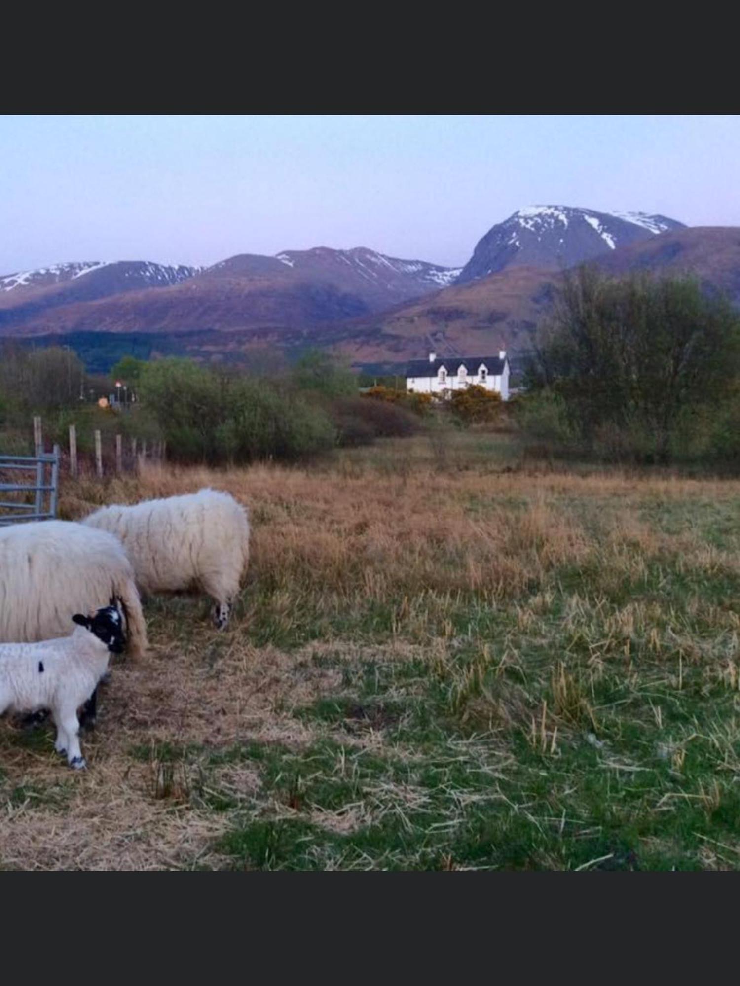 The Shielings By Inverlochy Villas Fort William Dış mekan fotoğraf